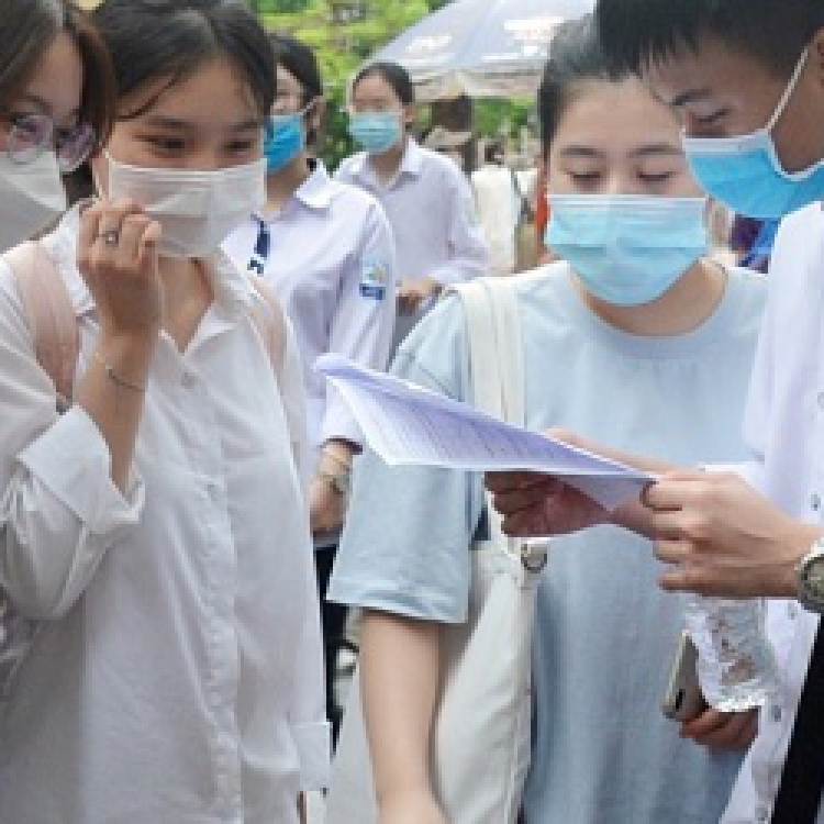 Hướng dẫn rà soát dữ liệu tuyển sinh đầu cấp tại TP.HCM từ ngày mai