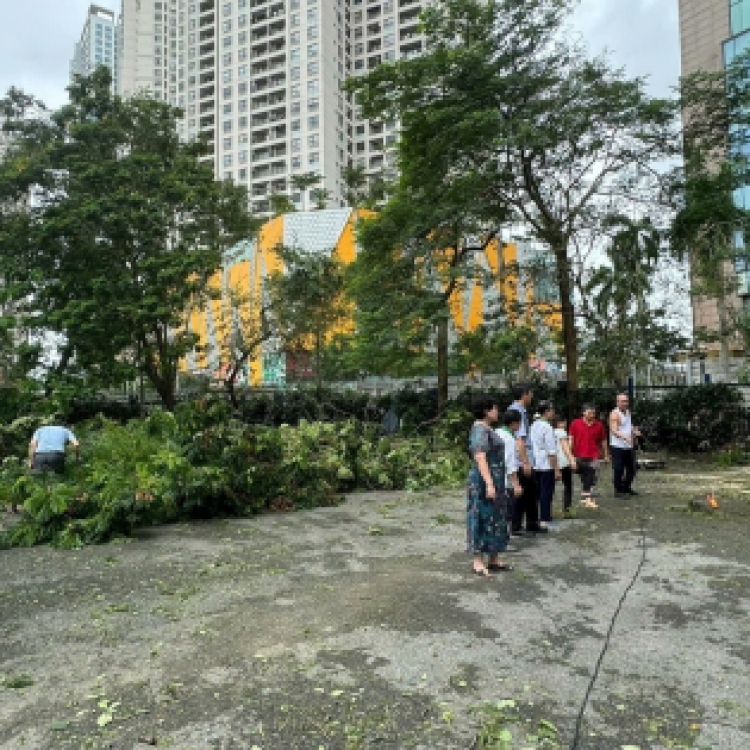 TP.HCM cho phép các trường chuyển sang dạy trực tuyến nếu bão Kalmaegi phức tạp