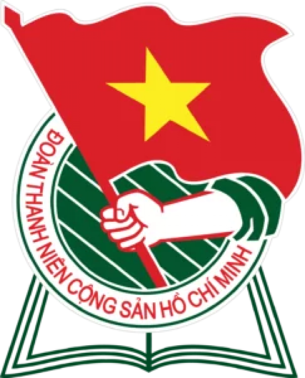Học Viện Thanh thiếu niên Việt Nam (VYA)