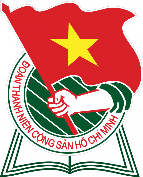 Học Viện Thanh thiếu niên Việt Nam (VYA)